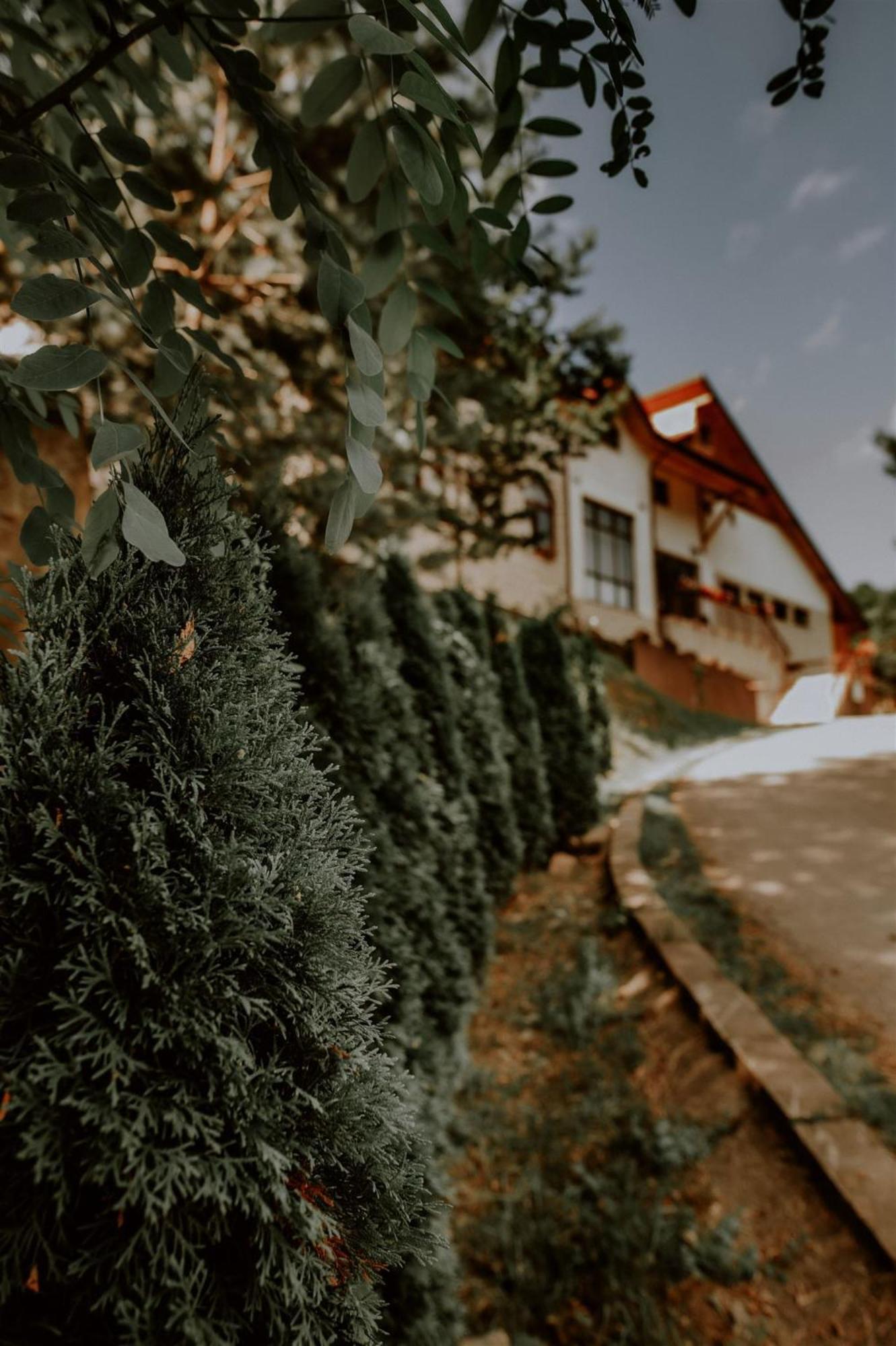 Pensiunea Poiana Verde Slănic-Moldova Exterior foto