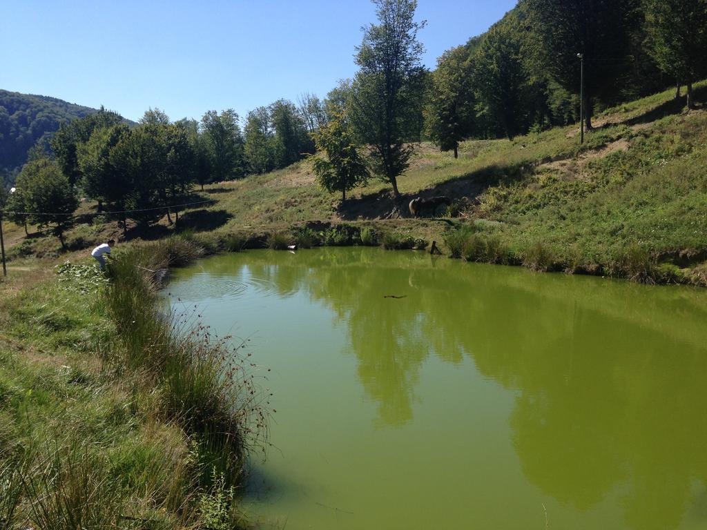 Pensiunea Poiana Verde Slănic-Moldova Exterior foto